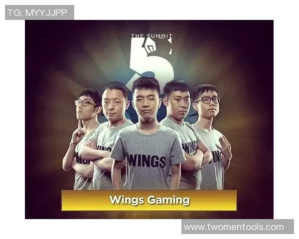 dota ti8比赛-DOTA TI8比赛的激情与荣耀-dota ti8比赛